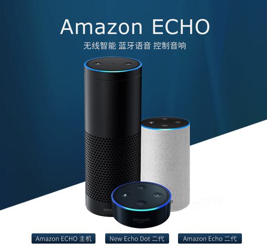 亚马逊Echo Auto车载智能音箱-适用对象