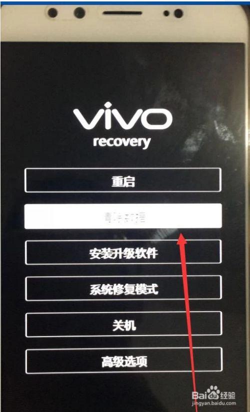 vivo手机自动保存密码在哪看