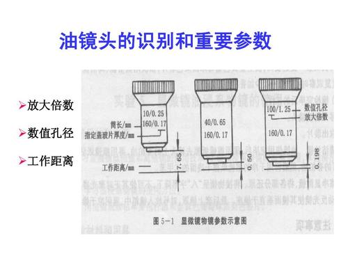 油镜的使用方法