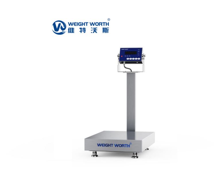 Stainless steel platform scale