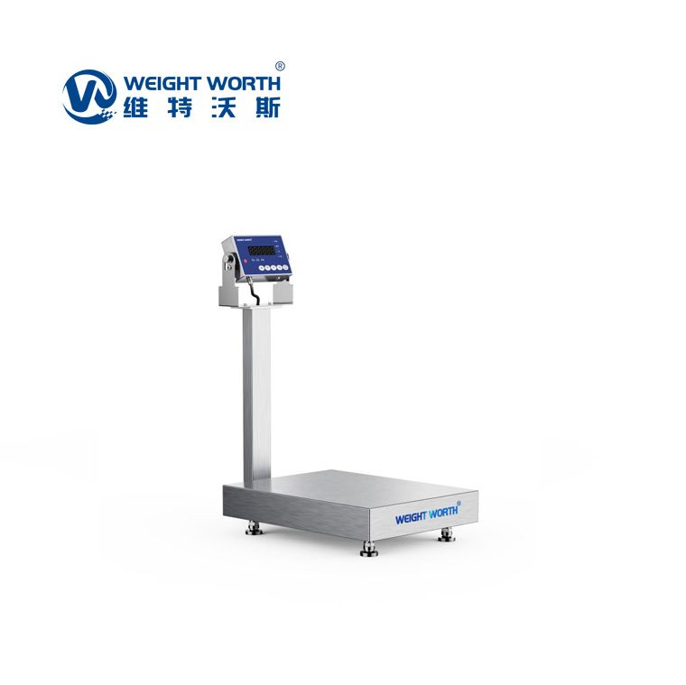 Stainless steel platform scale