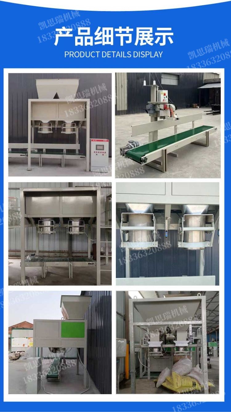 Fully automatic dual station particle powder packaging machine