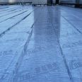 SBS modified aspect waterproofing membrane for roof waterproofing