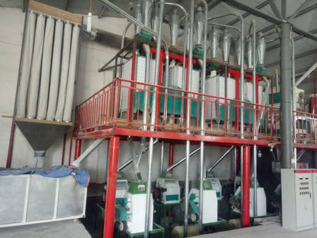 Wheat peeling 50T fine white flour grinding and milling machine