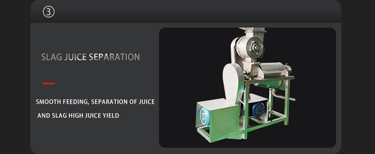Pine Apple Juice Processing Machine Lemon Juice Making Machine