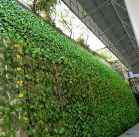 Factory wholesale artificial ivy outdoor indoor decoration green leaf fake vine man green leaf vine