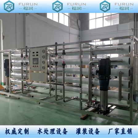 Furun Water Treatment Reverse Osmosis Equipment Pure Water Equipment Supports Customized and Stable Operation