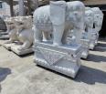 Granite Stone Carving Elephant Ornaments Customized by Stone Carving Elephants at the Entrance of Hotel Villas