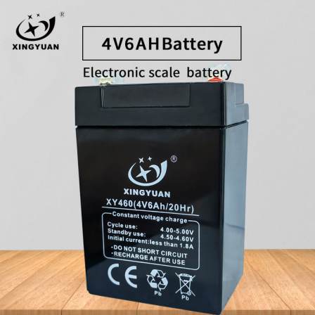 Battery factory 4V6AH maintenance free sealing Lead acid battery children's toy car electronic scale