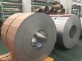 AISI SUS JIS SS 304 316 Coil 1000mm Hot Rolled Cold Rolled 316L 304 ASTM EN