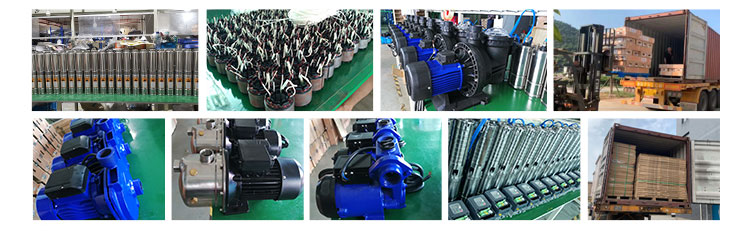 Vertical submersible axial flow pump for agricultural irrigation