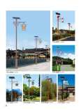 Solar street lamp manufacturer, new rural 6-meter solar lamp, lithium battery pole, electric wire pole, and lamp holder