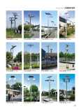 Customized solar street lights, new rural lighting, 6-8 meter landscape lighting, street lights