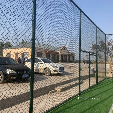 Professional manufacturer of staff fence net, quota for staff fence net