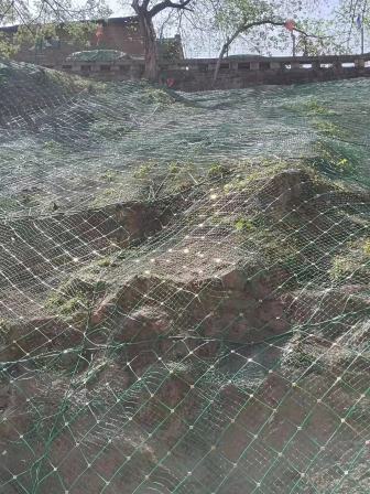 Slope protection net   GPS2