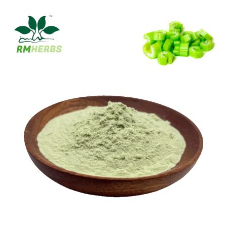Celery Juice Powder manufacturers