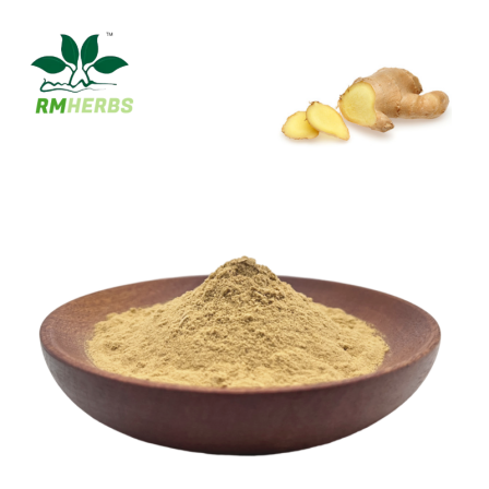 Agricultural Wood, Ginger Powder, Ginger Extract, Spray Drying Powder, Food Raw Materials