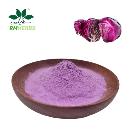 purple cabbage juice powder