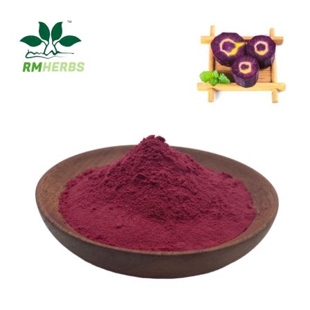 purple Carrot Extract manufacturer