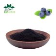 Blueberry Extract Anthocyanins