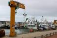 Crane lift boat jib crane for sale