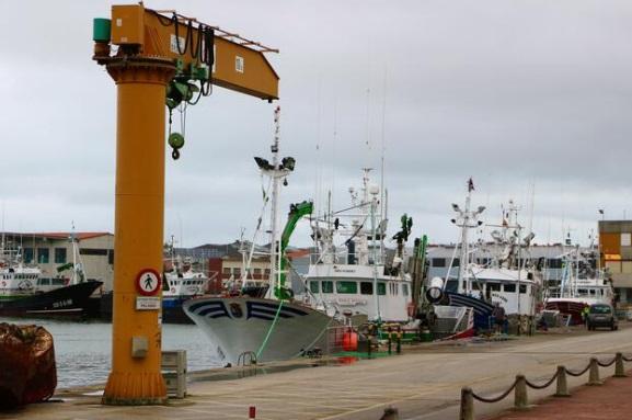 Shipyard Boat Jib Crane for Lifting Marine