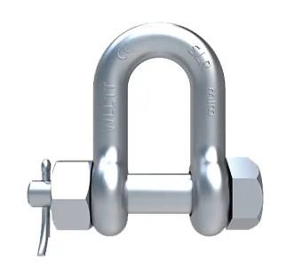 Ship Industry Carboon Steel, Stainless Steel D Shackle