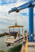 Marine travel lift jib crane