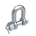 Ship Industry Carboon Steel, Stainless Steel D Shackle