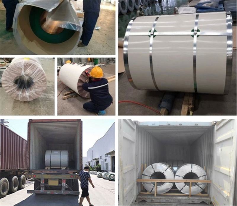 China suppliers Best Selling Pre-coated Color Coated Rolls Sgcc Dx51d Ppgi Color Coated Steel Coil