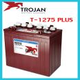 Trijan Battery T-105 6V225AH Golf Cart Sweeper Special Battery