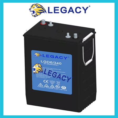 LEGACY battery LGD6/390 6V390AH lifting platform crank arm vehicle traction battery