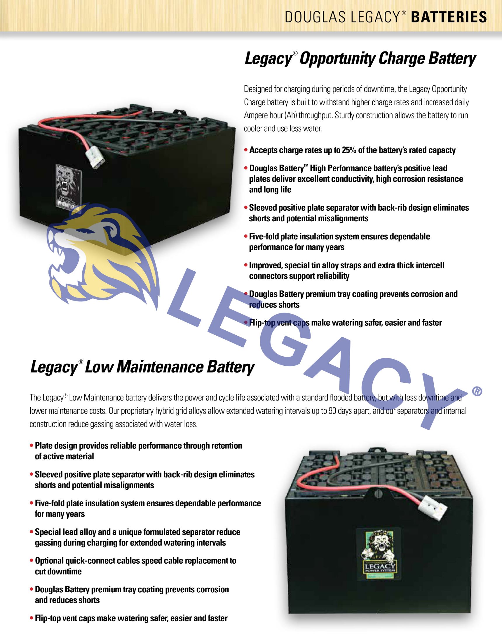 LEGACY battery LGD6/390 6V390AH lifting platform crank arm vehicle traction battery