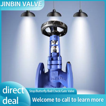 Welcome to call us for the supply of German standard corrugated pipe globe valve flange connections