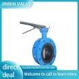Soft sealing material of ductile iron manufacturer for handle flange butterfly valve