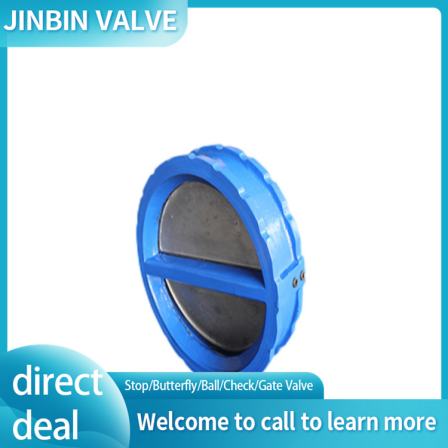 Supply of double plate check valve with ductile iron material for pump station water supply