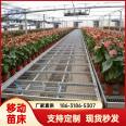 Industrialized Seedling Base Geothermal Galvanized Mobile Seedling Bed Manufacturers Increase Greenhouse Area and Increase Production