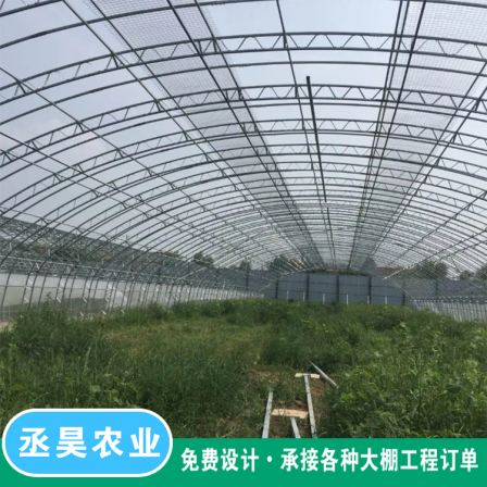 Double film greenhouse framework with strong resistance to wind and snow, good insulation, and double layer new agricultural greenhouse for vegetable planting with arch shed