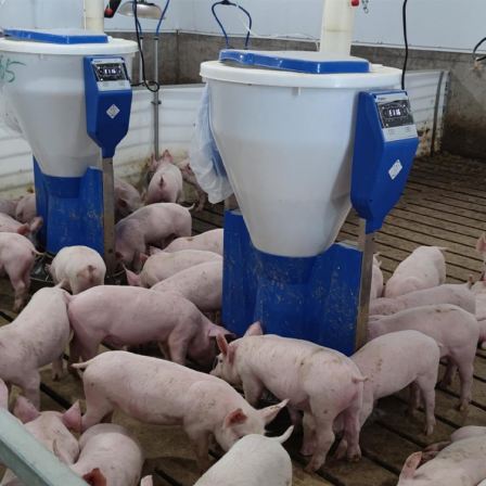 Fully automatic intelligent pig feeding machine 80kg dry and wet feeding trough circular barrel stainless steel free feeding trough for material saving