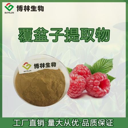 Bolin Biological Rubus idaeus Extract 10:1 Rubus idaeus Ketone 98% Rubus idaeus Powder Multi specification