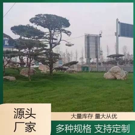 Qingpeng has sufficient supply of goods for large-scale fish pond landscaping. Light gray granite revetment stone project