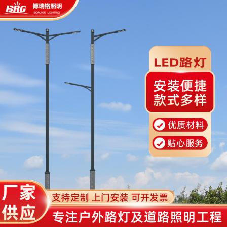 Outdoor double arm street lamp 9m, 10m, 12m high, low arm double head municipal engineering lighting, road lamp pole