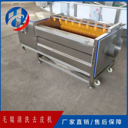 Seafood cleaning Hongchang manufacturer's food grade brush peeling and cleaning equipment Potato type roller cleaning machine
