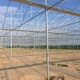 Steel skeleton vegetable greenhouse, single arch greenhouse, spring and autumn cold and warm bread and strawberry greenhouse, double mold film solar greenhouse