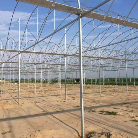 Steel skeleton vegetable greenhouse, single arch greenhouse, spring and autumn cold and warm bread and strawberry greenhouse, double mold film solar greenhouse