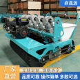 Agricultural gasoline self-propelled garlic seeder Dingshengyuan provides household small garlic seed equipment