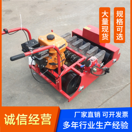 Small agricultural gasoline precision seeder, celery and coriander planting seeder, multi row bitter herb planting equipment