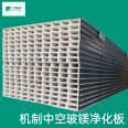 Guangya New Materials Clean Room Medical Special Partition Board Hollow Glass Magnesium Purification Board (Mechanism) Support Customization