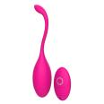 Yue Se Huan YSH Wireless Remote Control Egg Jumping Exercise Massager Women's Vibration Masturator Smart Ball Adult Products