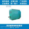 Taifu Xima Motor YXKK560-6 Pole 1120KW kW 6KV Large and Medium Efficient High Voltage Motor IP54